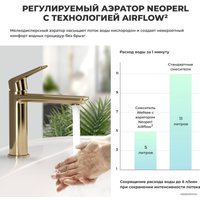 Смеситель Wellsee ICON! for life 182303000 (золотой)