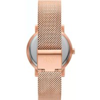 Наручные часы DKNY NY6686 в Мозыре