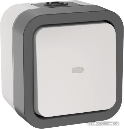 Выключатель IEK Tors TS-V10-1-10-55-K41