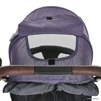 Коляска прогулочная «книга» Pituso Camino (черный/слива)