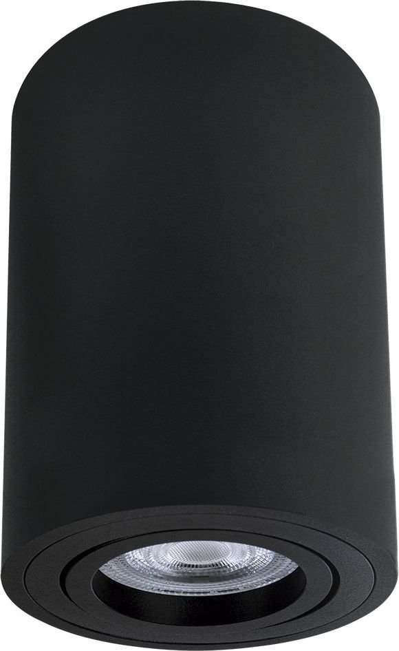 

Точечный светильник Arte Lamp Sentry A1566PL-1BK