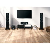 Напольная акустика Dynaudio Emit 50 (черный)