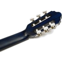 Акустическая гитара Valencia VC213 TBU