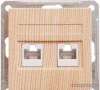 Розетка компьютерная Schneider Electric W59 RSI-251KK5E-7-86