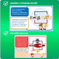 Набор для опытов Bondibon Японские опыты. Человек. Кости и мышцы ВВ4728