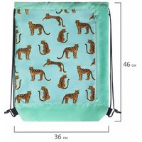 Мешок для обуви Юнландия Wild Cats 271614