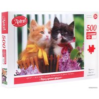 Пазл Origami Game Астрель Неразлучные друзья 05606 (500 эл)