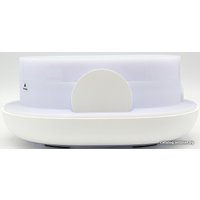 Увлажнитель воздуха Stay Gold VM500 Cute