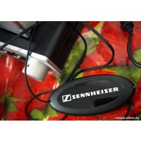 Наушники Sennheiser HD 202 II