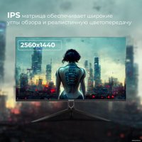 Игровой монитор Evolution GX272kic IPS