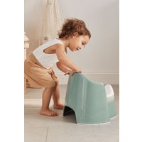 Детский горшок BabyBjorn 0552.68