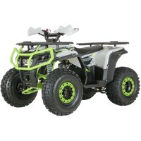 Квадроцикл Yacota Dragon One 125 (белый)