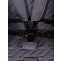 Коляска прогулочная «книга» Rant Basic Alpine 2026 RA450 (темно-серый)