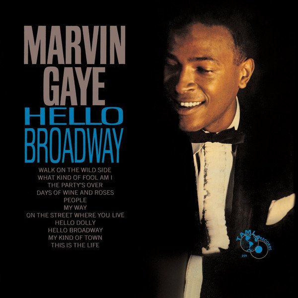 

Виниловая пластинка Marvin Gaye - Hello Broadway