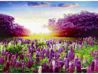 Алмазная мозаика  Darvish Цветочное поле DV-9518-2