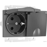 Розетка Werkel W1172204 a057291