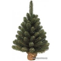 Ель Maxy Poland НеоКлассик в горшочке 0.6м