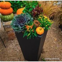 Вазон Multy Home Sonata EU5100006 (черный сланец)