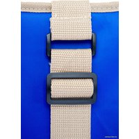 Термосумка БИОСТАЛЬ TC-15B 15л (синий)