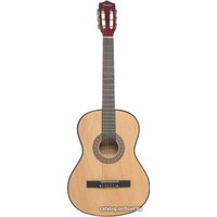 Акустическая гитара Terris TC-3801A NA