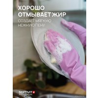 Средство для мытья посуды Septivit Альпийская Мята (5 л)