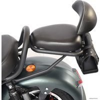 Электроскутер SkyBoard Chopper 3000 Pro SKY0001706 (зеленый хаки)