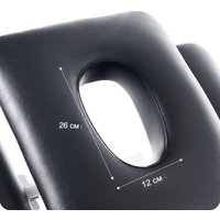 Массажный стол Richter MS 610 (черный)