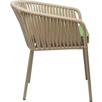 Стул Bergenson Bjorn Reed BB0000813 (бежевый/зеленый)