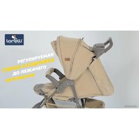 Коляска прогулочная «книга» Lorelli Daisy 2021 (черный)