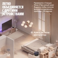 Умная колонка Яндекс Станция Мини 3 Про (черный)