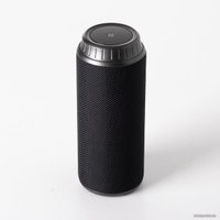 Беспроводная колонка Tonsil Flip 6