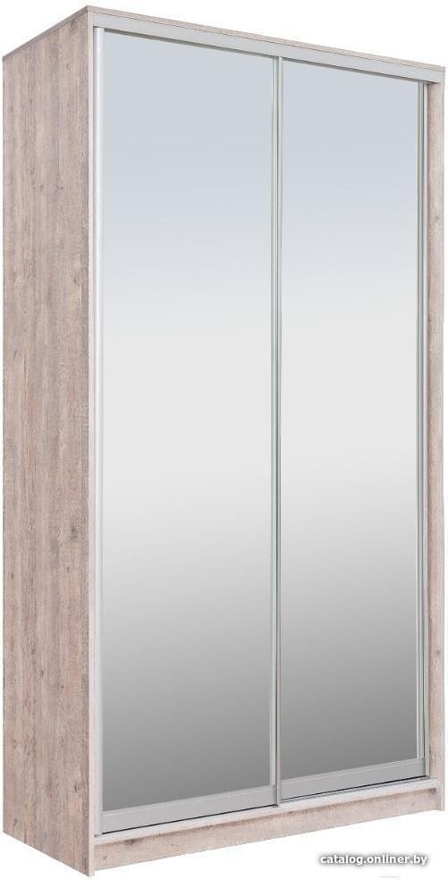 Шкаф-купе Рэйгрупп 138450 SSX Elgon РГ-11.04 (сосна натуральная/хром)