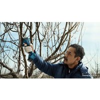 Секатор Bosch Pro Pruner Professional 06019K1021 (с 2-мя АКБ)