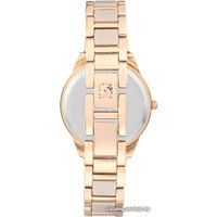 Наручные часы Anne Klein 3160TNRG