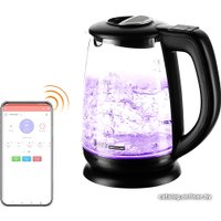 Электрический чайник Redmond (Редмонд) SkyKettle RK-G212S (черный) в Гомеле