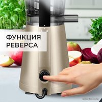 Соковыжималка RED Solution RJ-930S