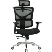 Офисное кресло Evolution ERGO Mesh (черный)