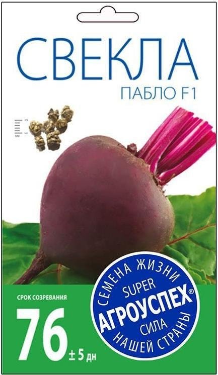 

Семена Агроуспех Свекла Пабло F1 32640 0.5 г