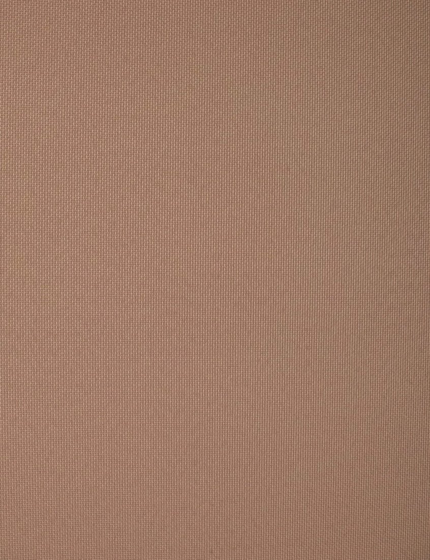 

Мини рулонные шторы Delfa Сантайм СРШ 01МД 2880 48x170 (какао, рисунок роял)