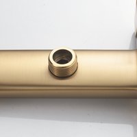 Гигиенический душ Shevanik S9905G-1