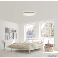 Светильник-тарелка Yeelight Halo Ceiling Light YLXD50YL