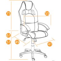 Игровое (геймерское) кресло TetChair Driver (черный/красный)