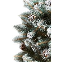 Ель Maxy Poland Полярная ночь (2м)