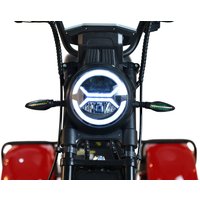 Электроскутер White Siberia CityCoco WS-Pro Trike 3000W 21Ah (с красными брызговиками)