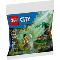 Конструктор LEGO City 30665 Встреча с детенышем гориллы