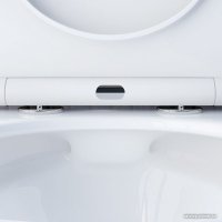 Унитаз подвесной Damixa Skyline DX35C1700SC
