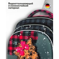 Школьный рюкзак Steiner SK2-15