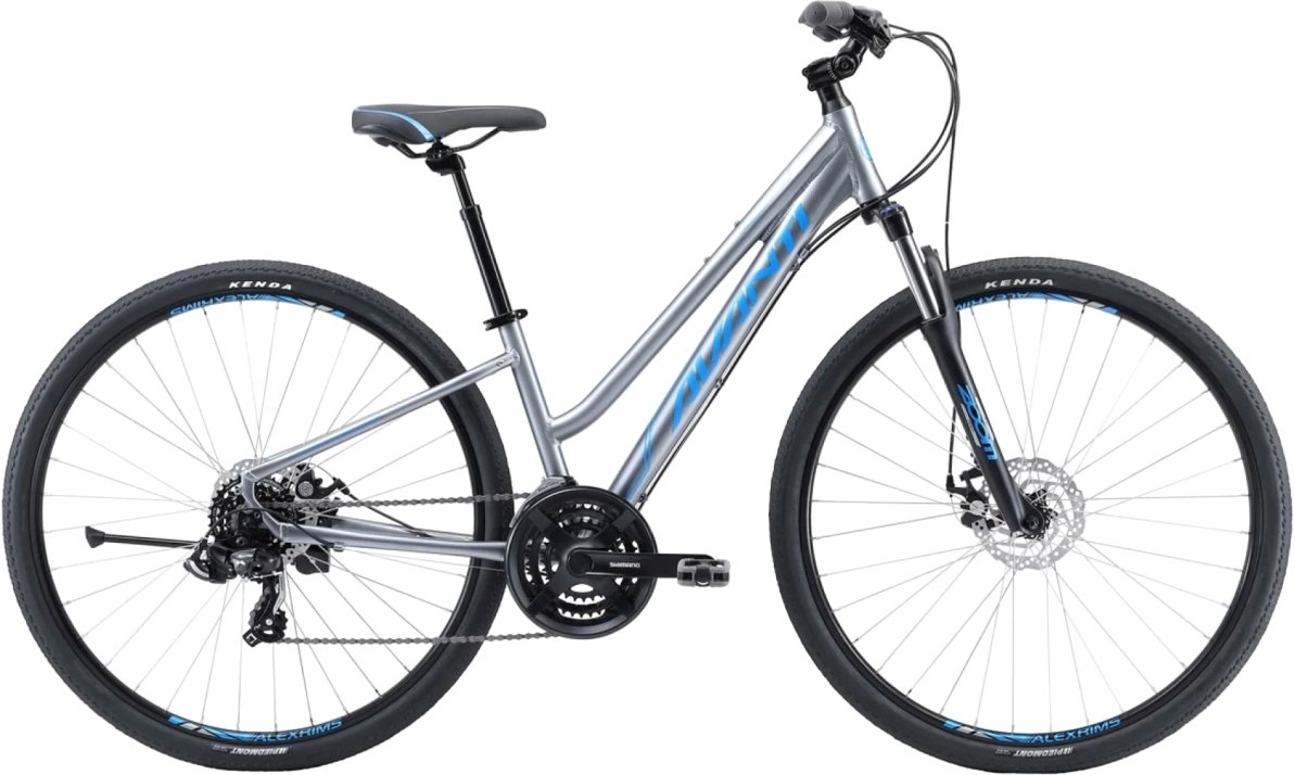 

Велосипед Avanti Discovery 1 Low M 2025