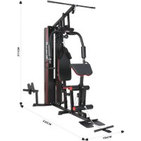 Силовой комплекс Alpin Neo Gym GX-300