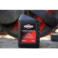 Моторное масло Briggs&Stratton 100005E SAE 30 0.6л